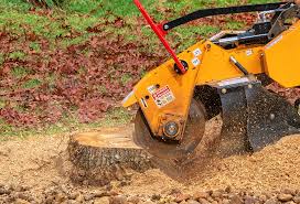 Leaf Removal Services in York, SC